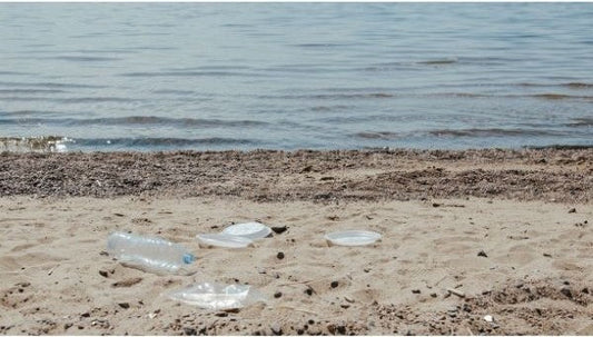 ¿Cuánta agua usamos sin darnos cuenta?