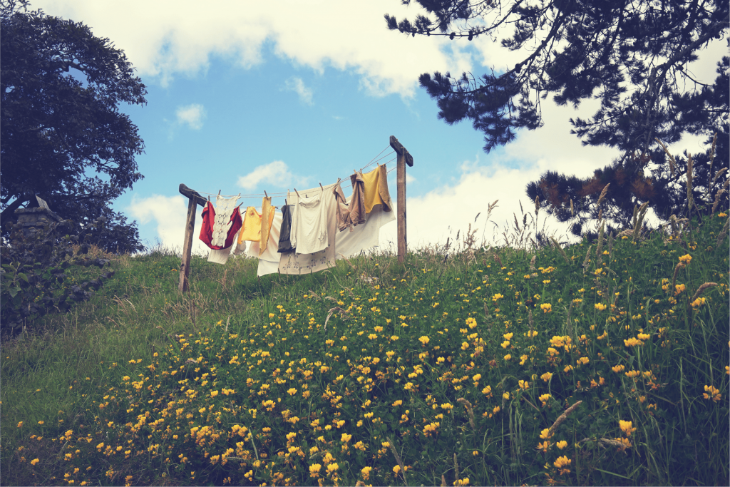 ¿Qué significa “Biodegradable”?