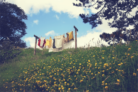 ¿Qué significa “Biodegradable”?