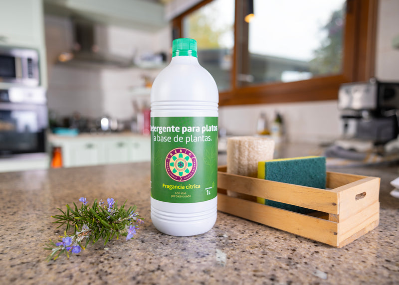 DISHWASHING DETERGENT 1 L